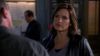 10x08-00148.jpg