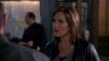 10x08-00150.jpg