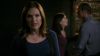 11x0600408.jpg