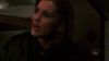 vlcsnap-311149.jpg
